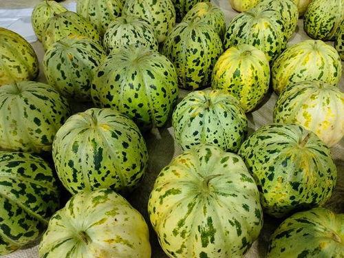 农村的瓜怎么吃,农村瓜果的多样食法探索