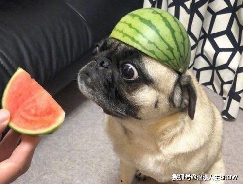 带有吃瓜的小号,吃瓜小号带你探秘明星幕后故事