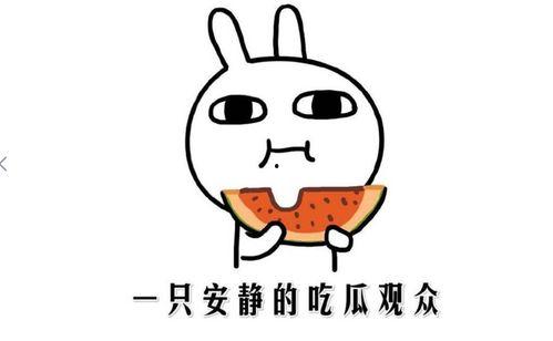 在线吃瓜啥意思,揭秘“在线吃瓜”现象背后的文化现象