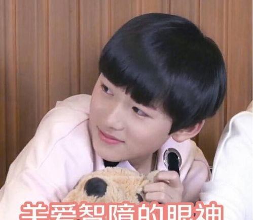 贺峻霖吃瓜现场,揭秘娱乐圈幕后真相