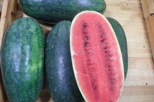 吃瓜黑珍珠,探寻美食界的神秘魅力