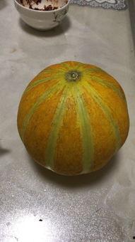 密瓜孕妇可以吃吗,安全与营养两不误