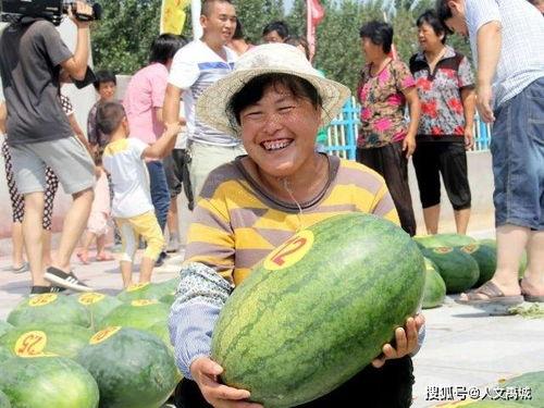 莱州沙河镇吃瓜,夏日炎炎，瓜香四溢的休闲时光