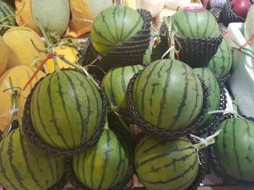 二代吃瓜,揭秘娱乐圈二代们的真实生活