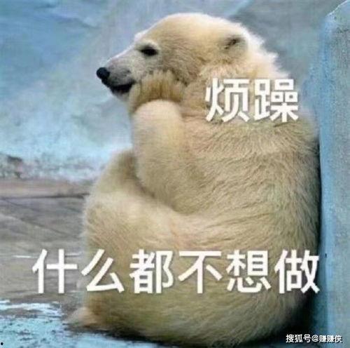 今晚吃瓜群众图片,揭秘网络热议背后的故事