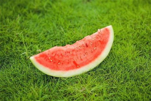 吃瓜后嘴麻,揭秘瓜果中的神秘成分