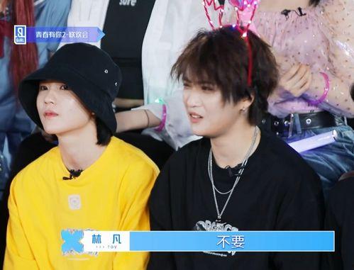 林凡吃瓜,揭秘娱乐圈幕后故事