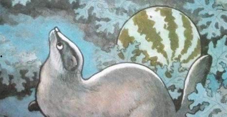 猹喜欢吃瓜吗,揭秘它对瓜的喜爱之谜