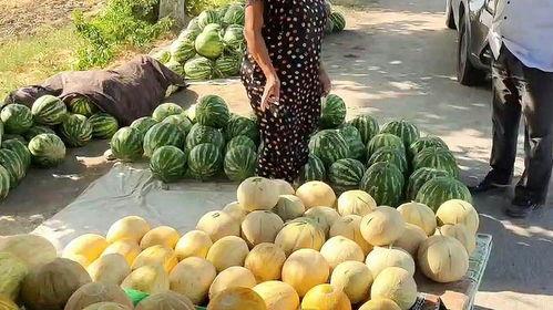 吃瓜展现生活美好,品味生活百态之美