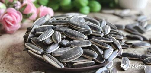 吃瓜子吃大瓜视频,揭秘吃瓜子大瓜的趣味之旅